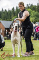 /album/fotogalerie-maryska/dsc-6974-kopie-jpgb-jpg/
